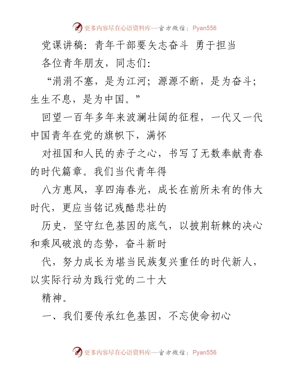 [发言] 党课 - 青年干部要矢志奋斗 勇于担当.docx_第1页