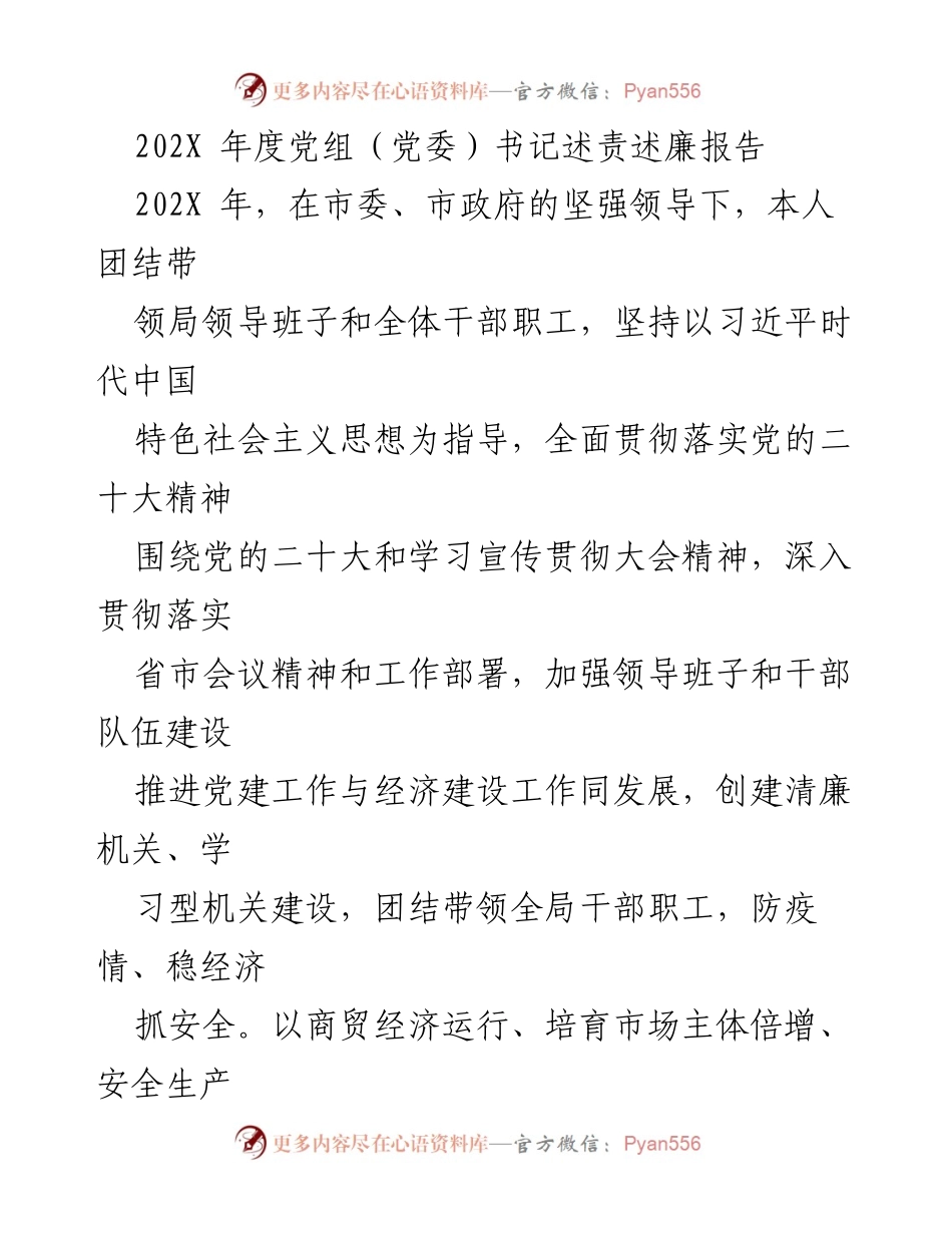[发言] 党组（党委）年度述责述廉 - 202X年度党组书记述责述廉报告.docx_第1页