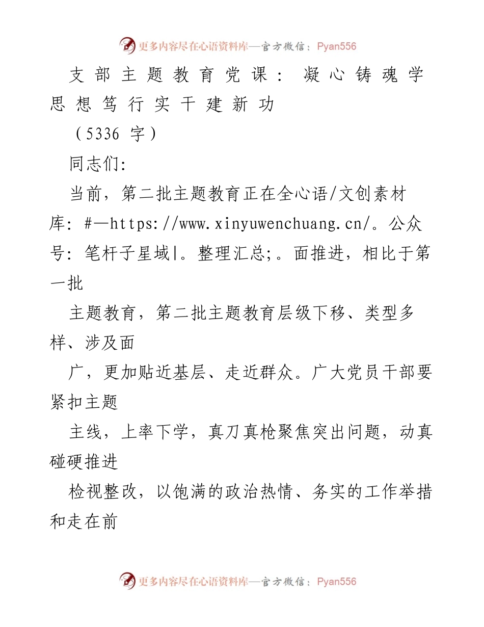 [发言] 党课 - 凝心铸魂，学思想，笃行实干，建新功.docx_第1页