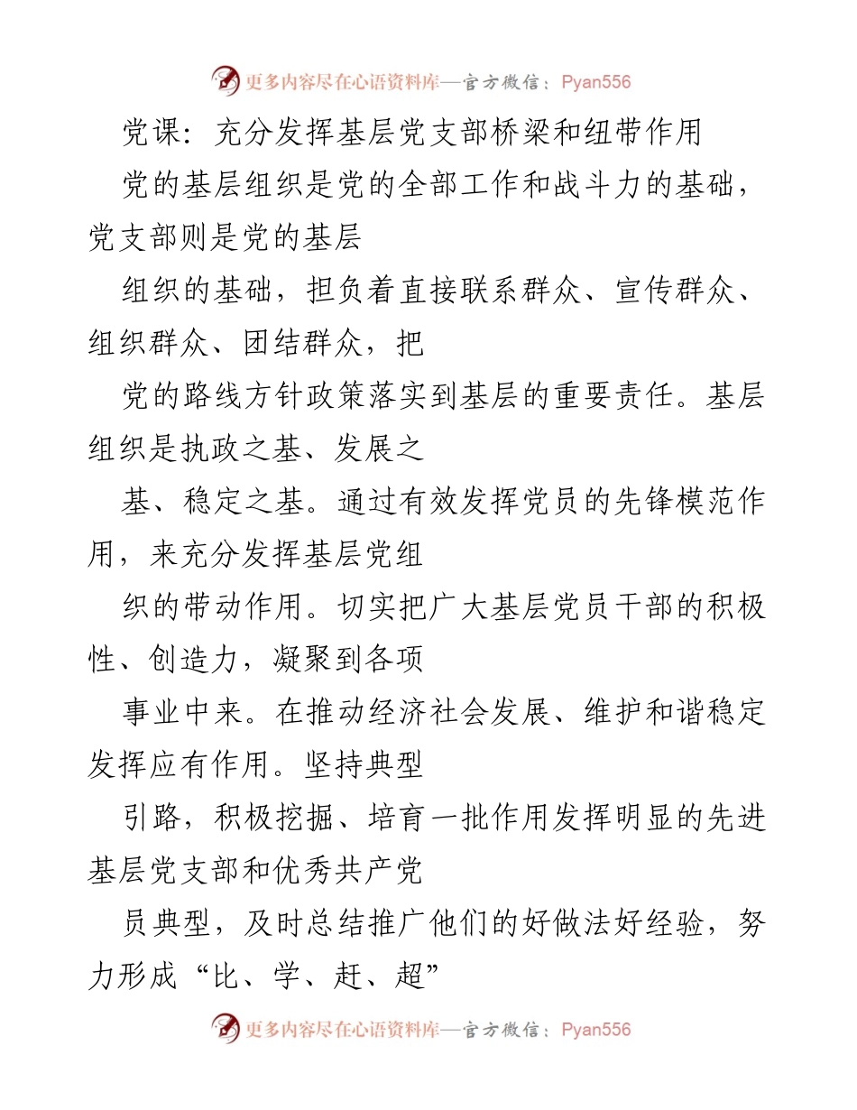 [发言] 党课 - 充分发挥基层党支部的桥梁与纽带作用.docx_第1页