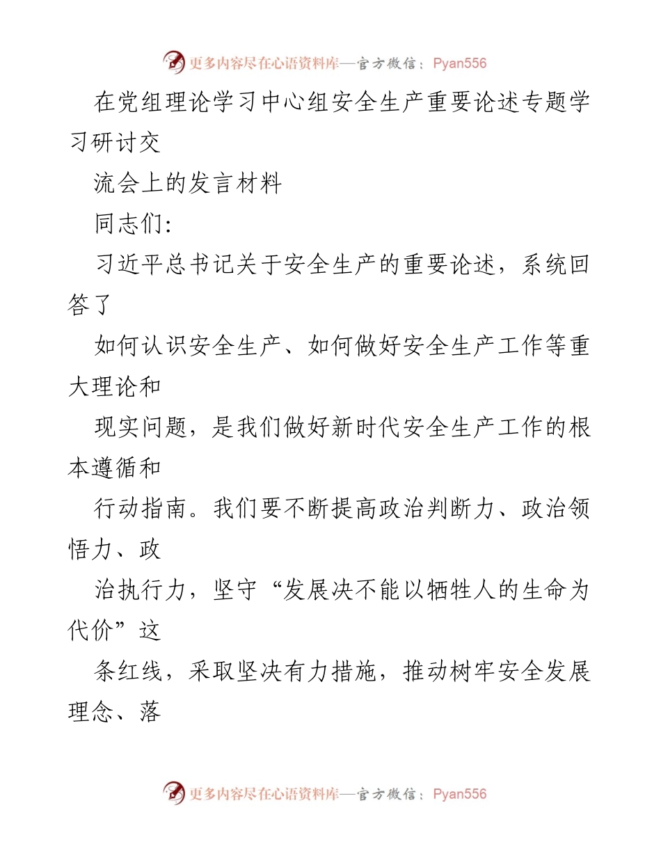 [发言] 党组理论学习中心组安全生产研讨会 - 深入学习习近平总书记安全生产重要论述，推动落实安全责任.docx_第1页