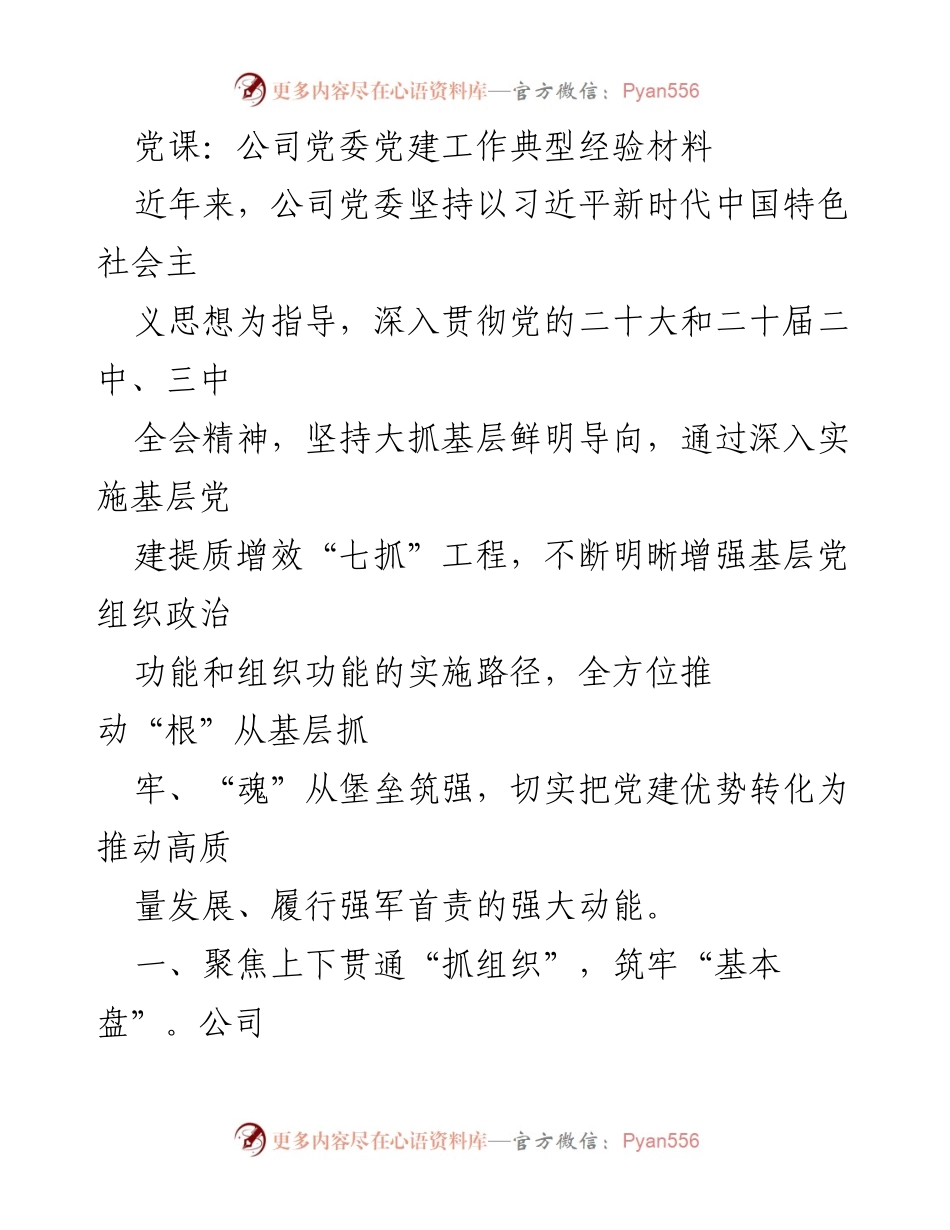 [发言] 党课 - 公司党委党建工作典型经验分享.docx_第1页