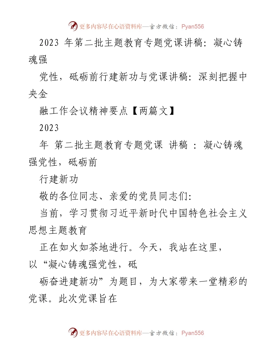 [发言] 党课 - 凝心铸魂，砥砺前行：深入学习习近平新时代中国特色社会主义思想.docx_第1页