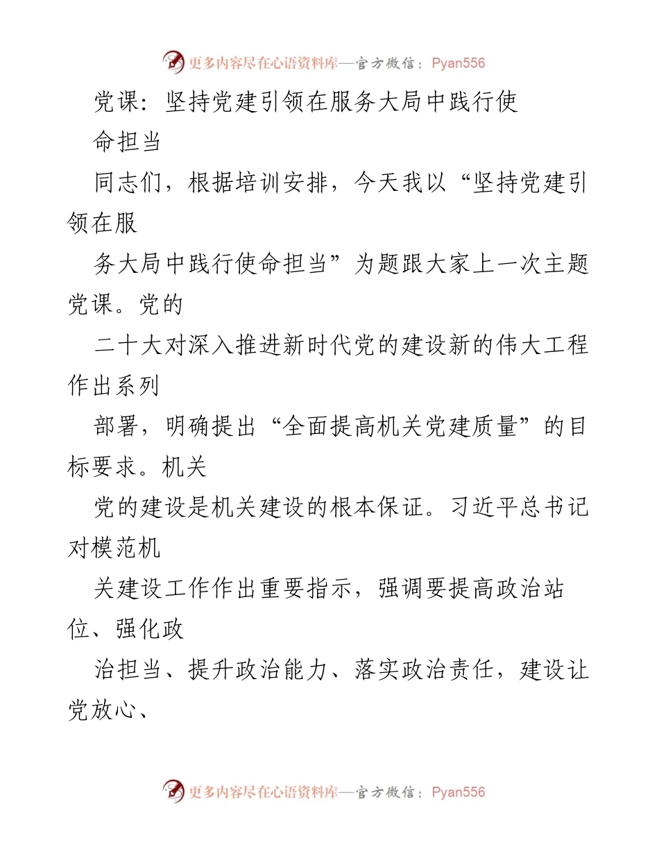[发言] 党课 - 坚持党建引领，践行使命担当_1.docx_第1页