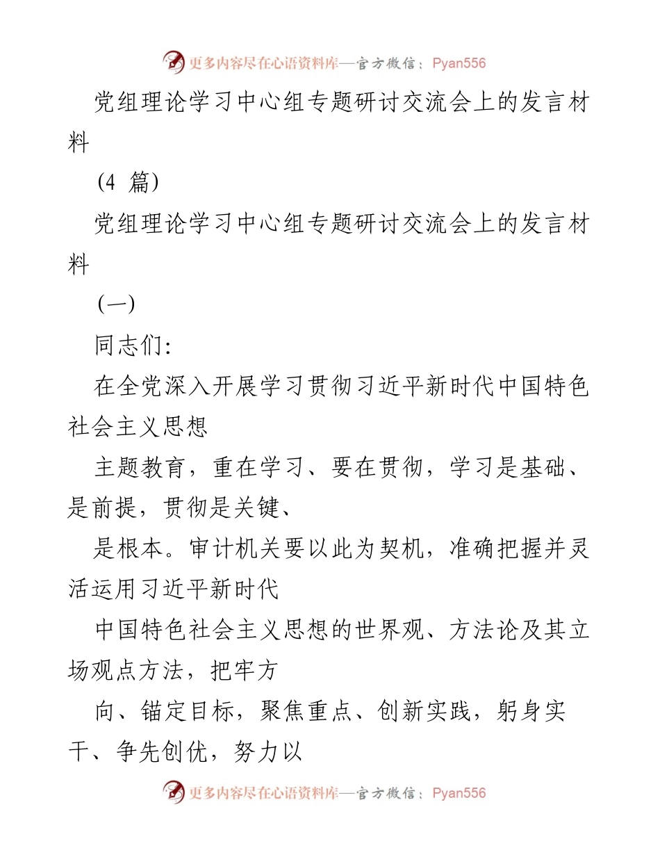 [发言] 党组理论学习中心组专题研讨交流会 - 以新理论统领审计实践，彰显担当作为.docx_第1页