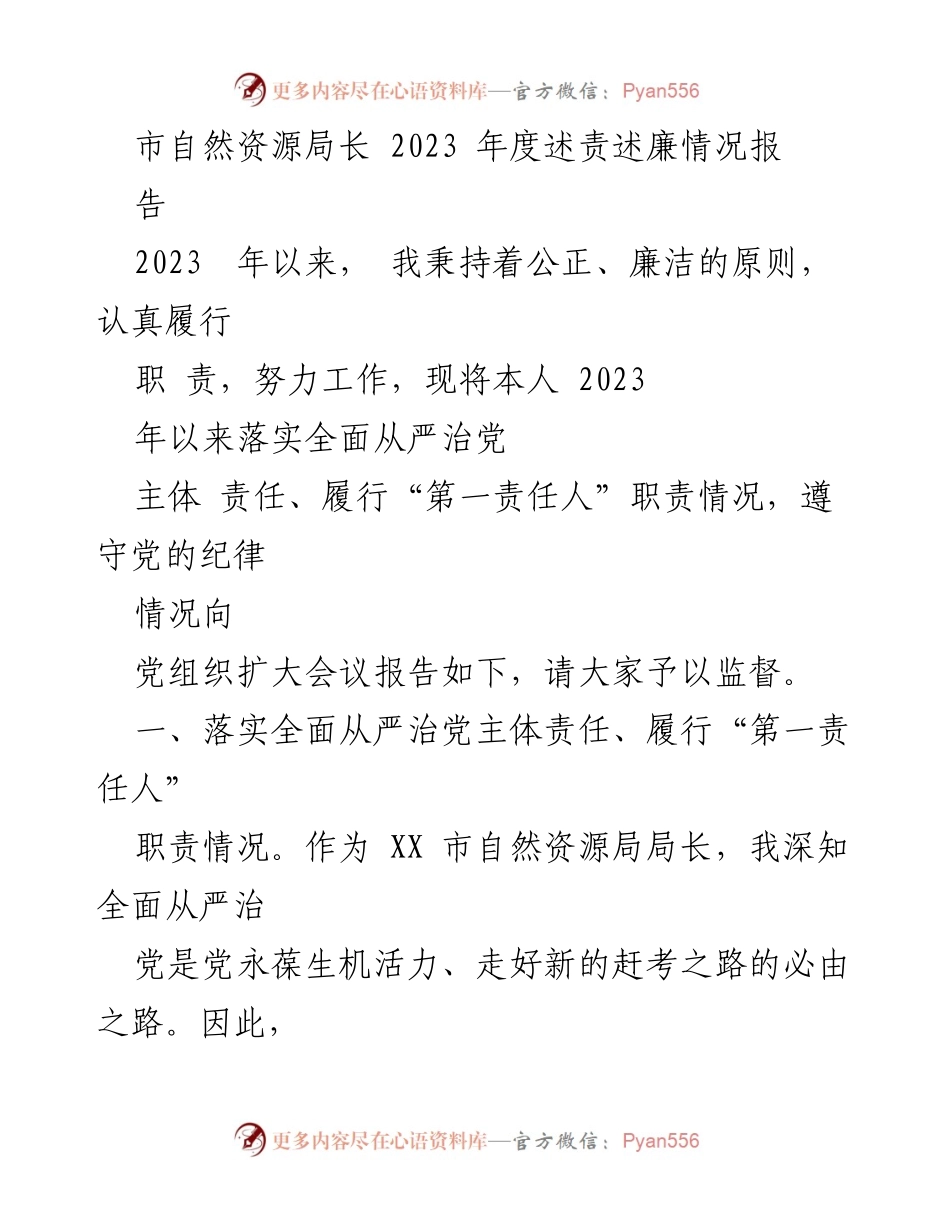 [发言] 党组织扩大会议 - 2023年度自然资源局长述责述廉报告.docx_第1页