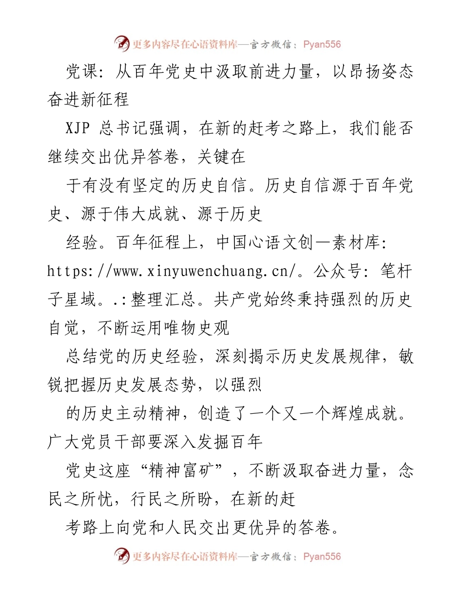 [发言] 党课 - 从百年党史汲取奋进力量，坚定理想信念.docx_第1页