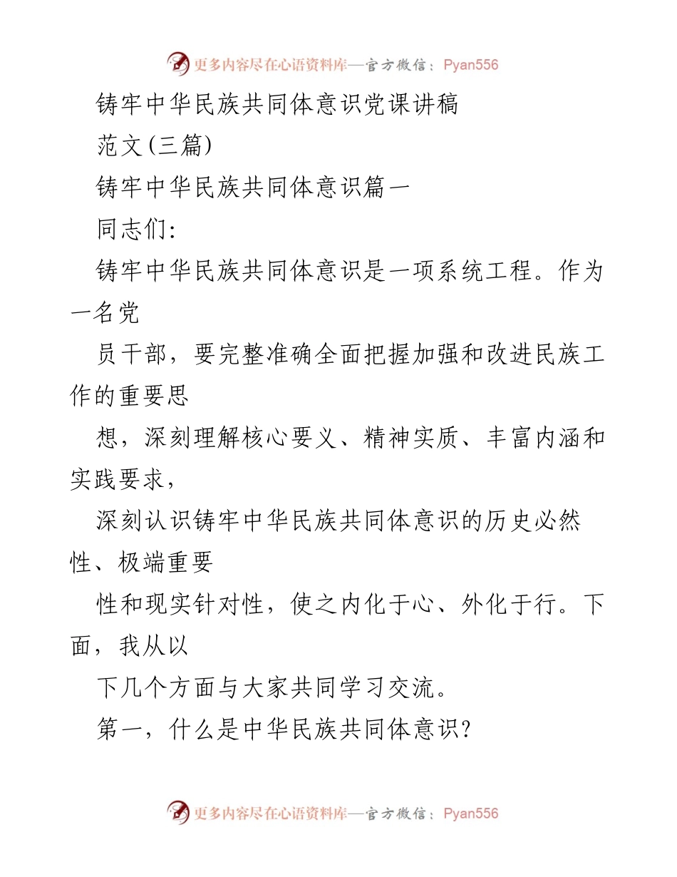 [发言] 党课 - 铸牢中华民族共同体意识的重要性与实践路径_5.docx_第1页