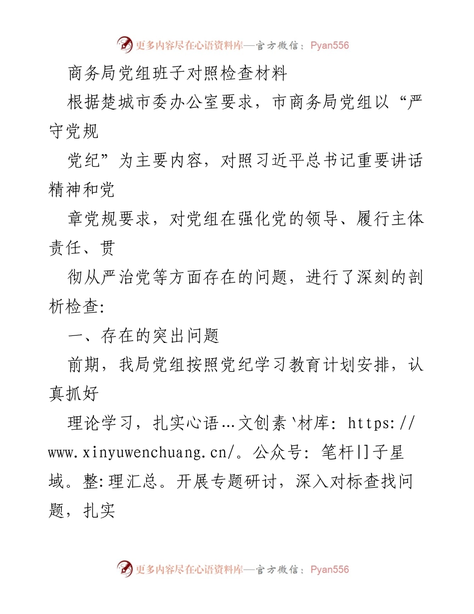 [发言] 党组民主生活会 - 市商务局党组对照检查材料分析与整改措施.docx_第1页