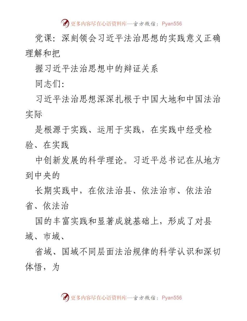 [发言] 党课 - 深刻领会习近平法治思想的实践意义与辩证关系.docx_第1页