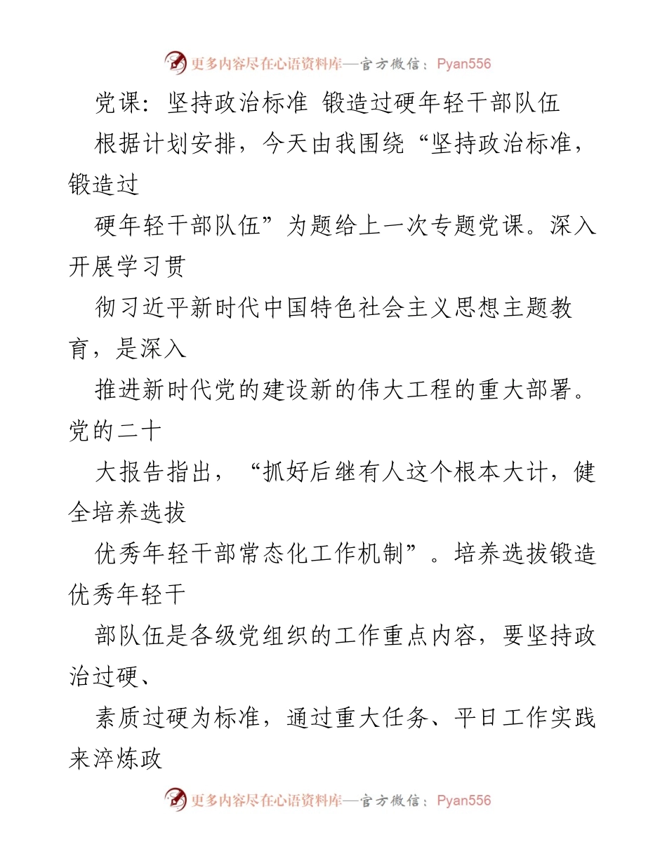 [发言] 党课 - 坚持政治标准，锻造高素质年轻干部队伍_1.docx_第1页