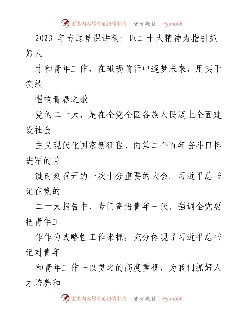 [发言] 党课 - 抓好人才与青年工作，砥砺前行逐梦未来.docx_第1页
