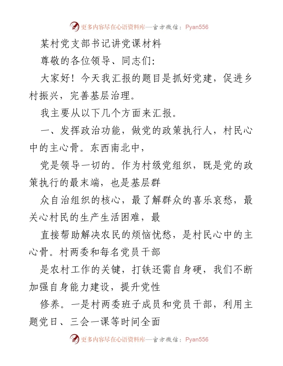 [发言] 党课 - 抓好党建，促进乡村振兴与基层治理.docx_第1页