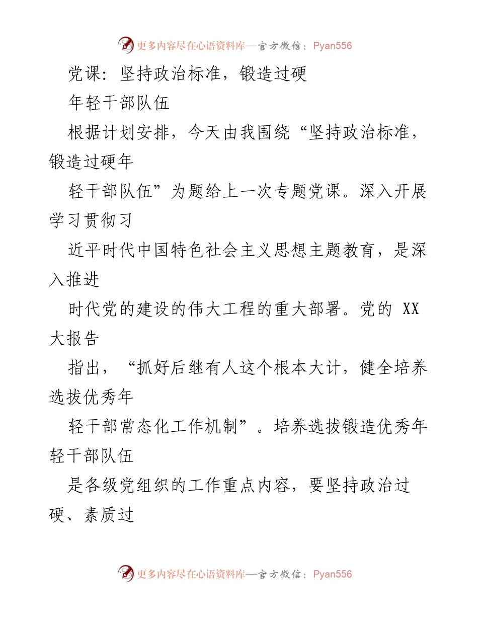 [发言] 党课 - 坚持政治标准，锻造高素质年轻干部队伍.docx_第1页