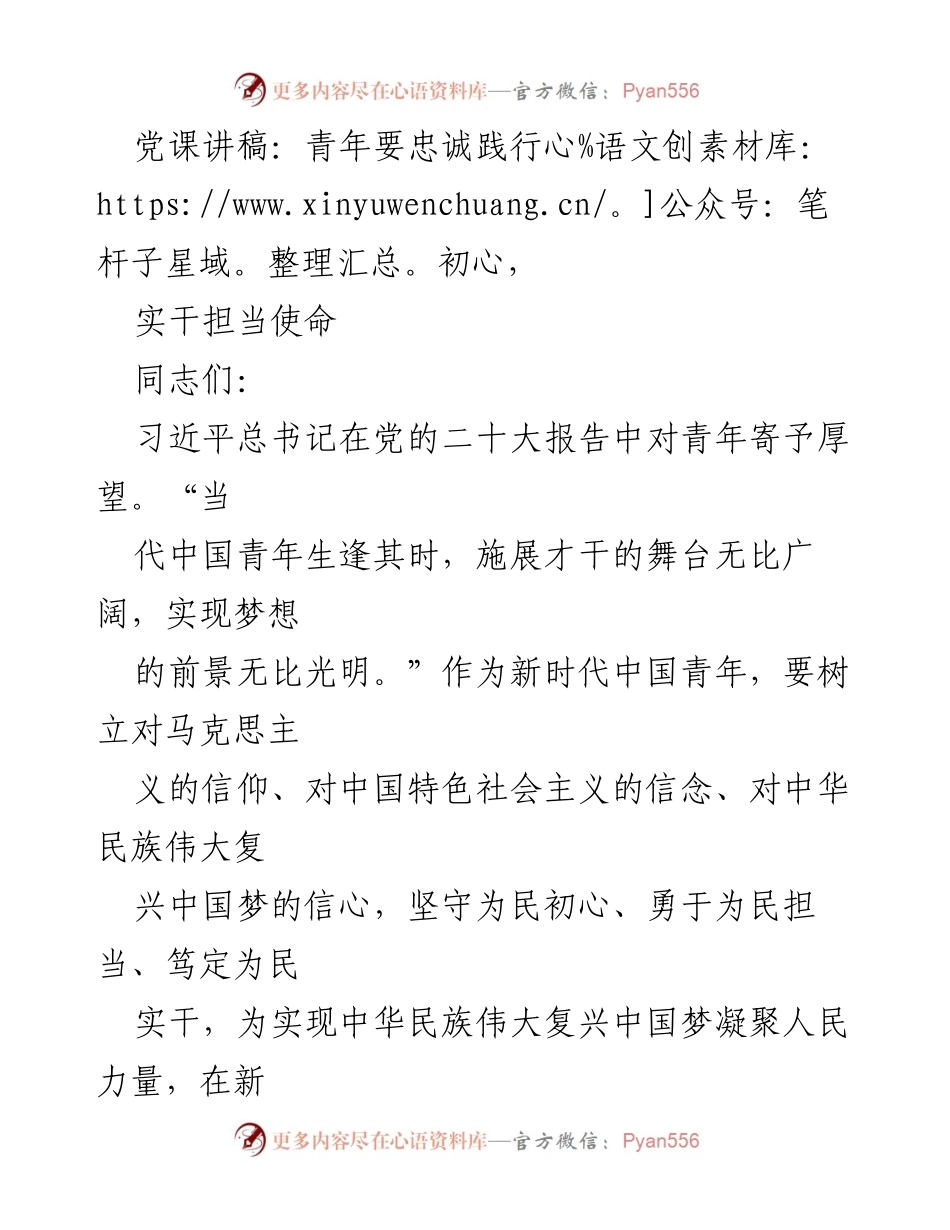 [发言] 党课 - 青年干部：忠诚初心与实干担当.docx_第1页