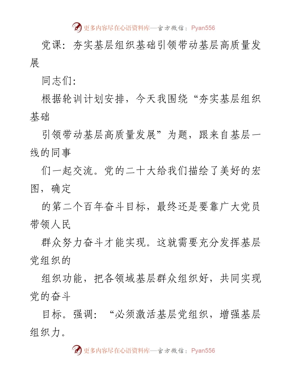 [发言] 党课 - 夯实基层组织基础，推动高质量发展_3.docx_第1页