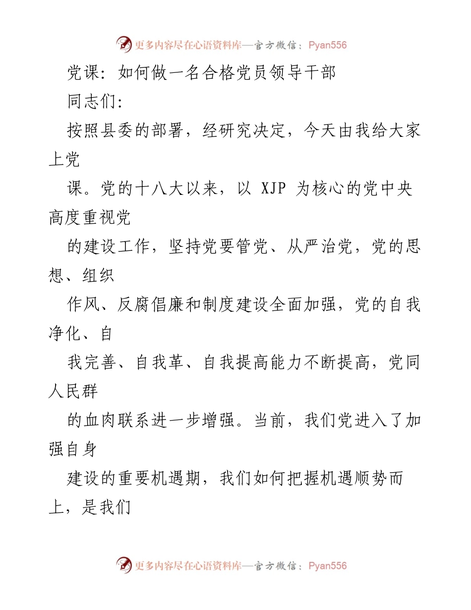 [发言] 党课 - 如何做一名合格党员领导干部的思考与实践.docx_第1页