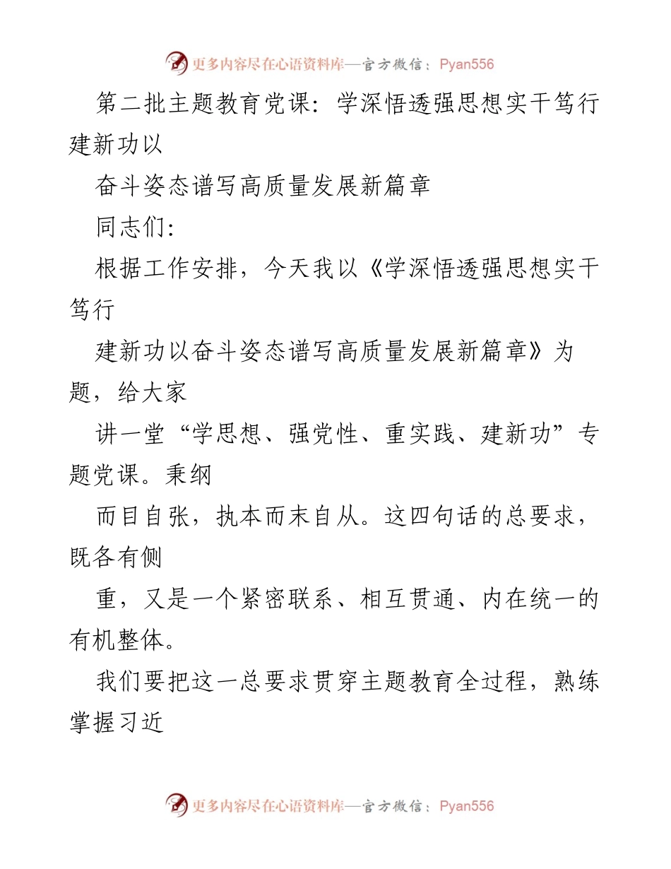 [发言] 党课 - 深入学习习近平新时代中国特色社会主义思想，推动高质量发展新篇章.docx_第1页