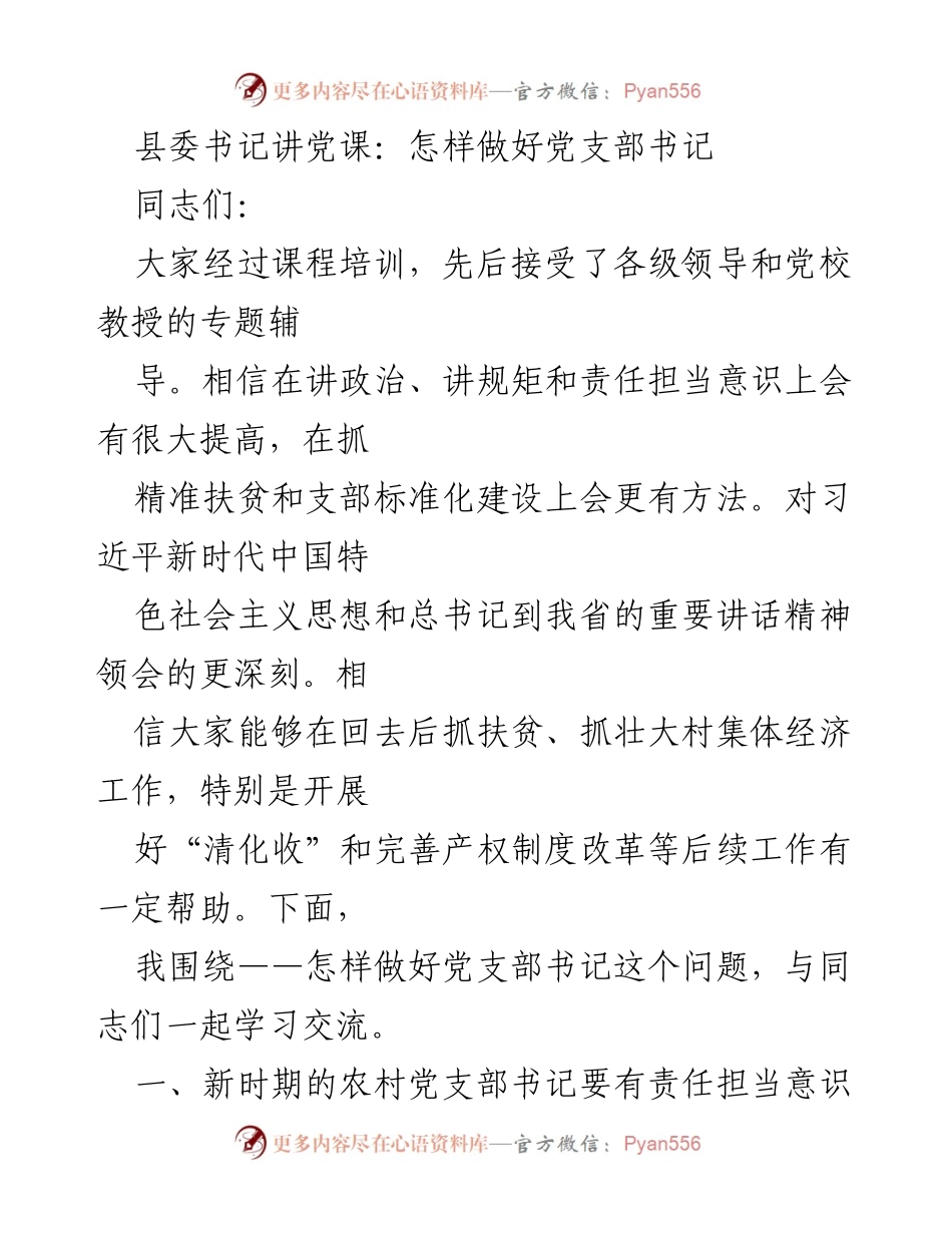 [发言] 党课 - 如何成为优秀的党支部书记_2.docx_第1页