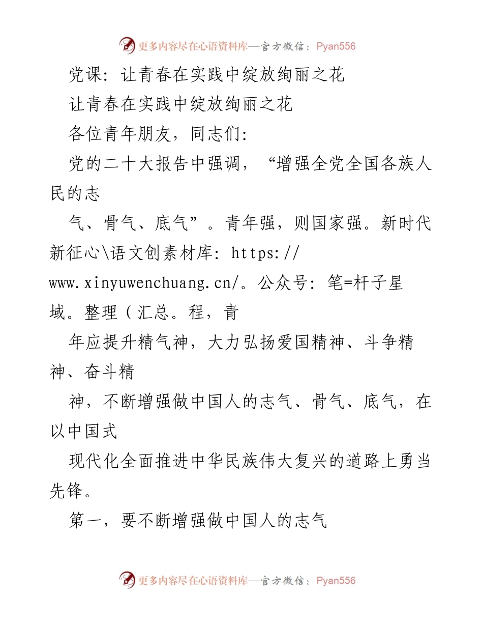 [发言] 党课 - 青年在新时代的使命与担当.docx_第1页