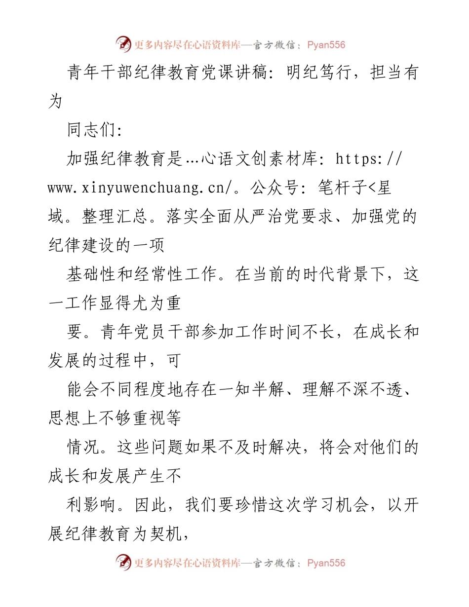 [发言] 党课 - 青年干部纪律教育的重要性与实践责任.docx_第1页