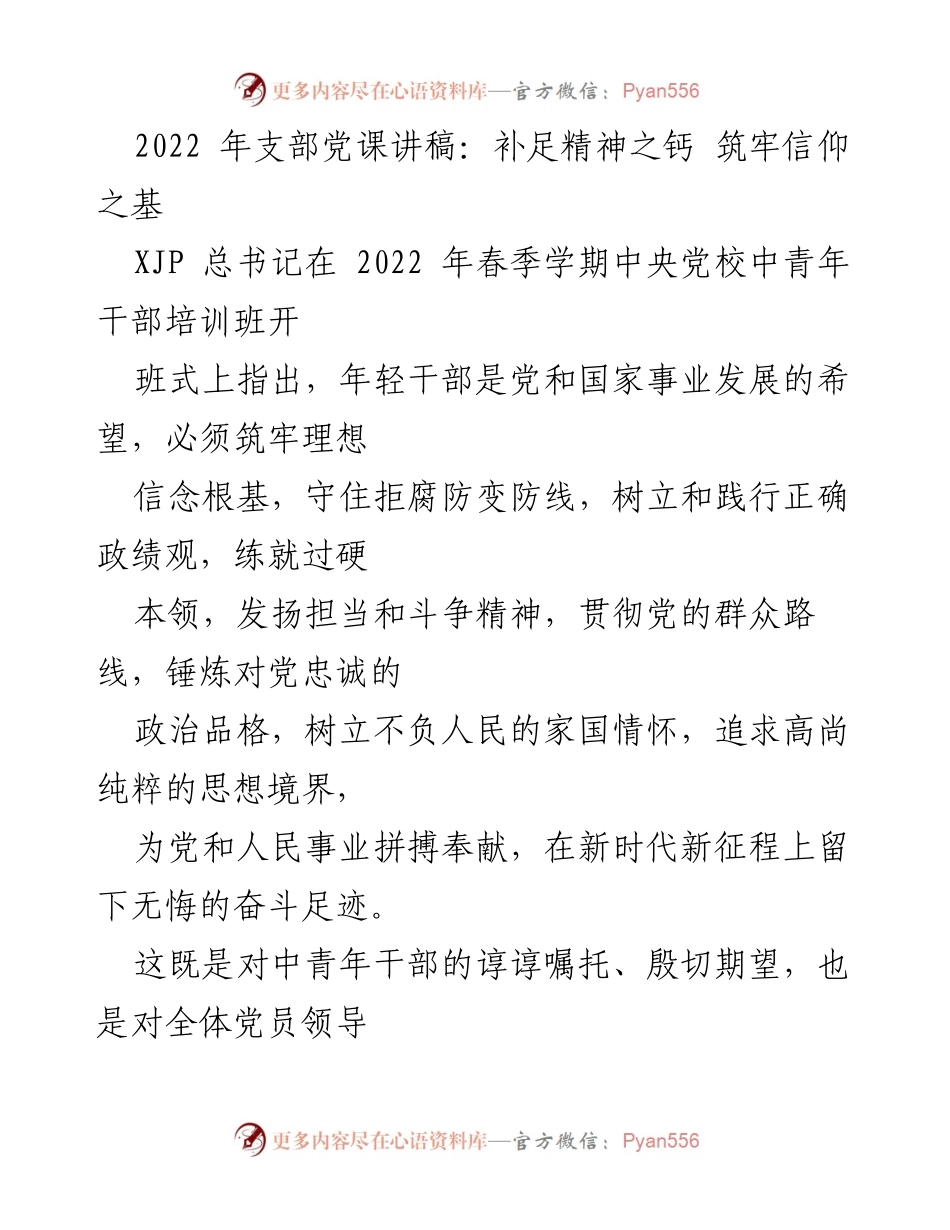 [发言] 党课 - 坚定信念，担当作为：新时代年轻干部的使命与责任.docx_第1页