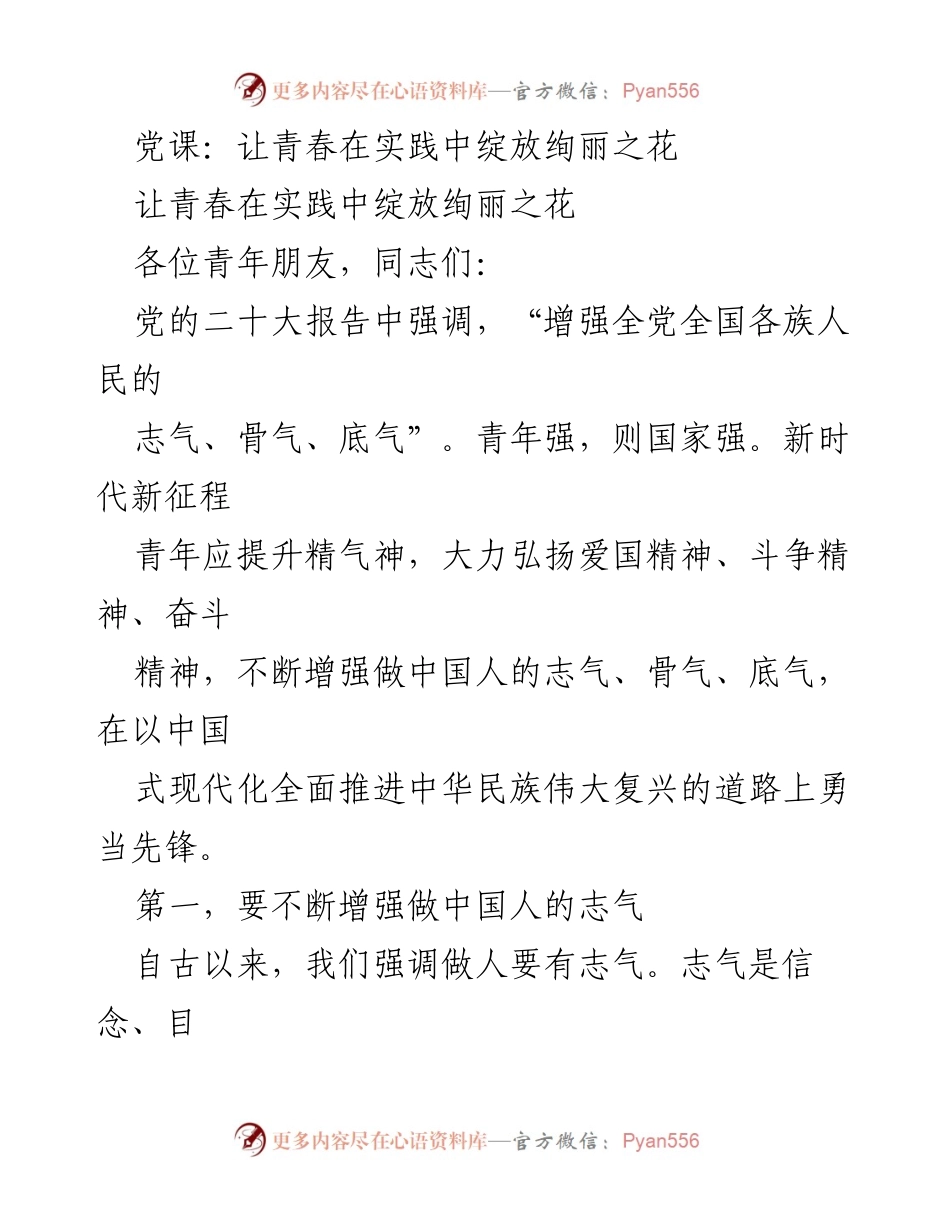 [发言] 党课 - 青年在新时代的使命与担当_2.docx_第1页