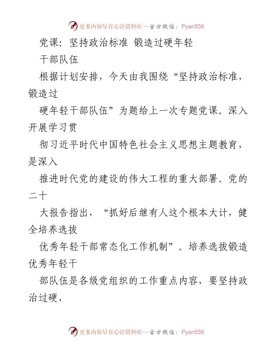 [发言] 党课 - 坚持政治标准，锻造过硬年轻干部队伍.docx_第1页