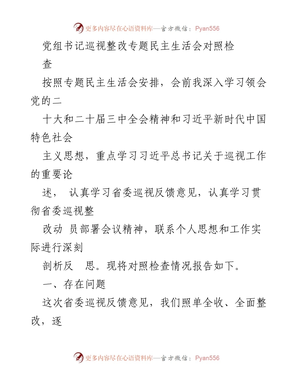 [发言] 党组书记巡视整改专题民主生活会 - 巡视整改对照检查情况报告.docx_第1页
