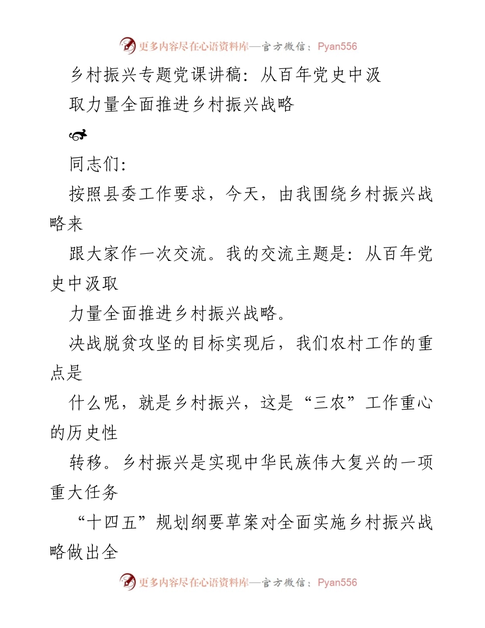 [发言] 党课 - 从百年党史汲取力量，全面推进乡村振兴战略.docx_第1页
