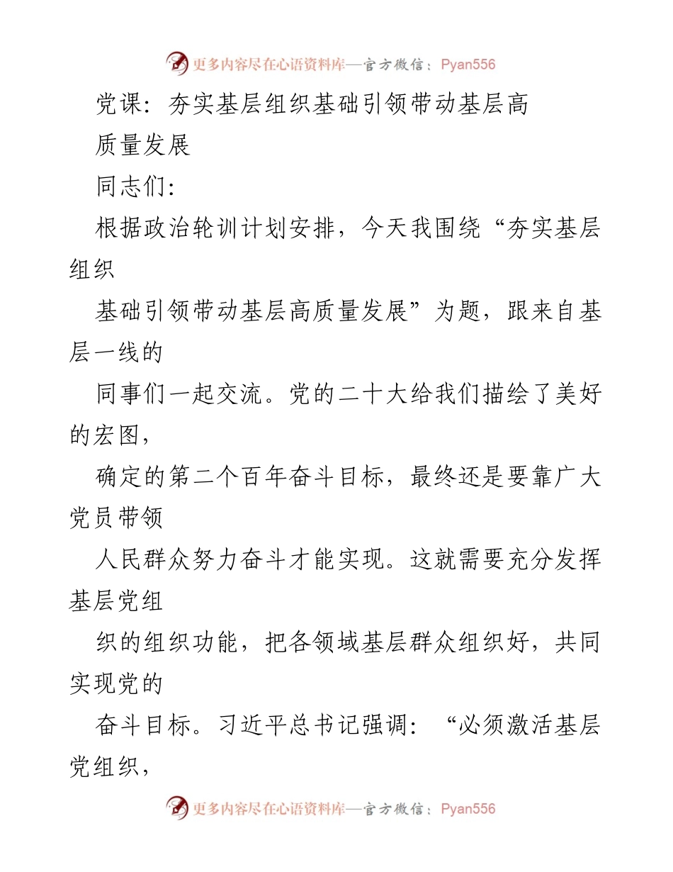 [发言] 党课 - 夯实基层组织基础，推动高质量发展.docx_第1页