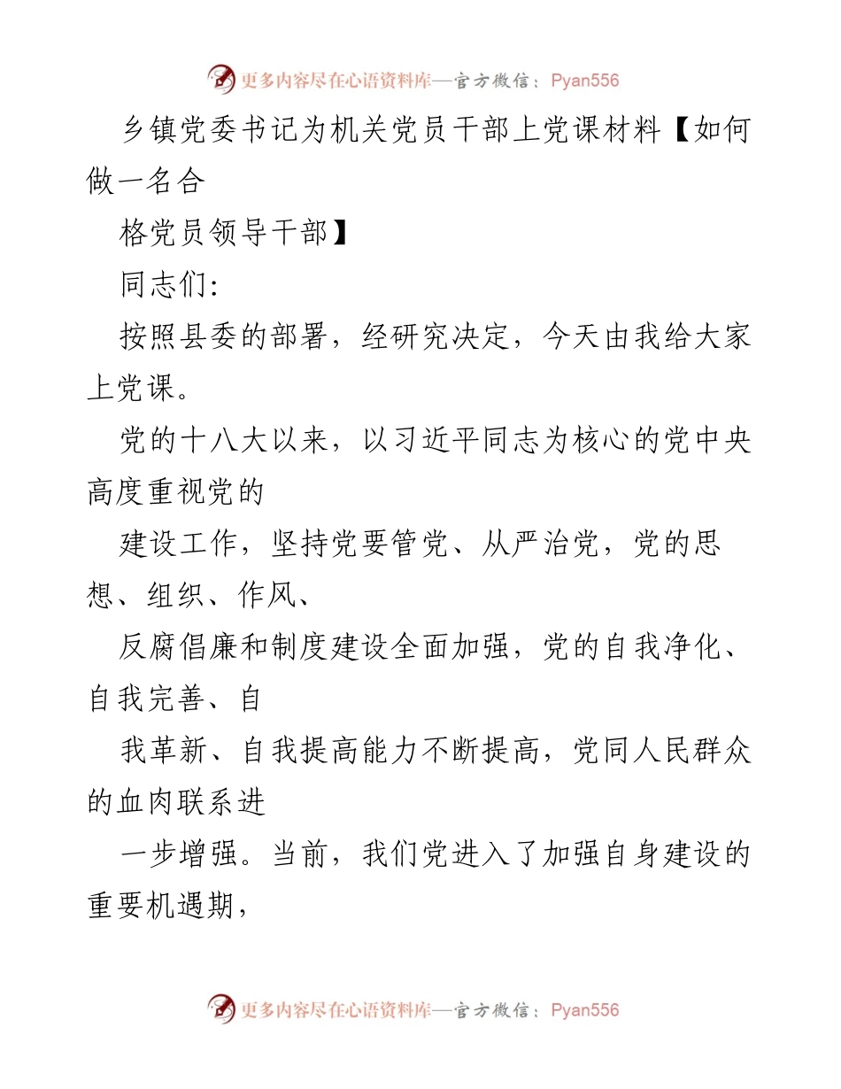 [发言] 党课 - 如何做一名合格党员领导干部.docx_第1页