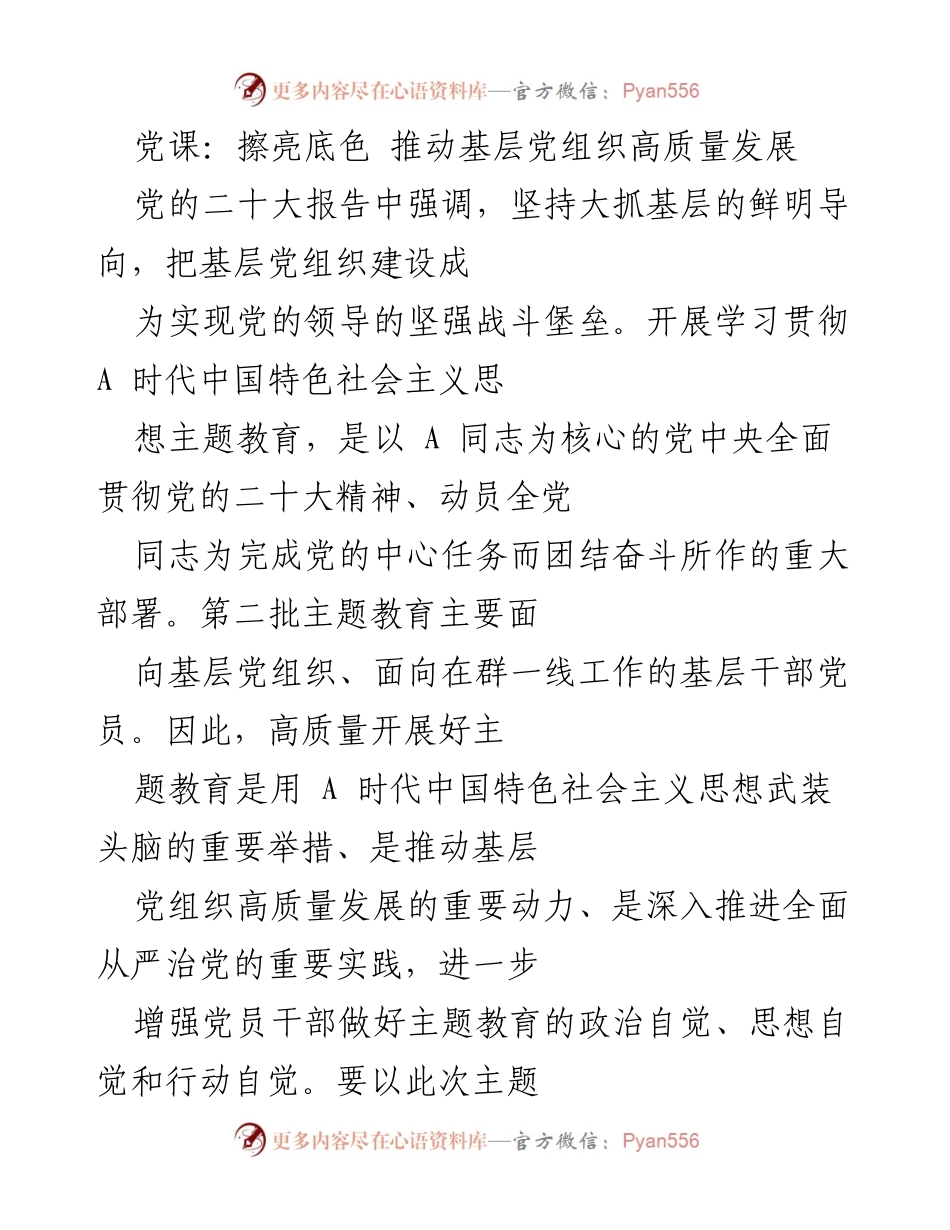 [发言] 党课 - 推动基层党组织高质量发展的主题教育实践.docx_第1页