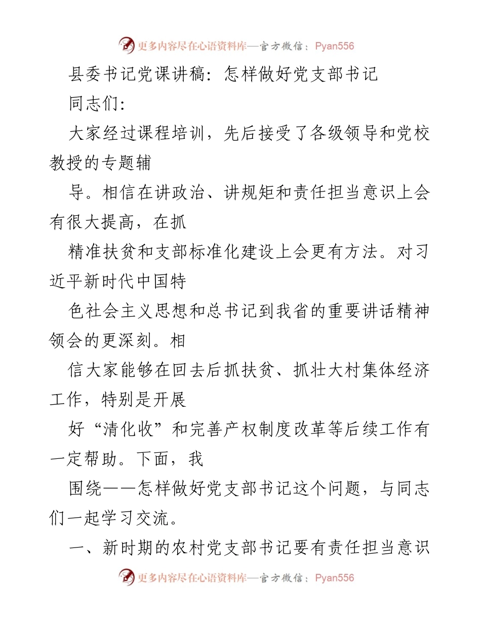 [发言] 党课 - 如何做好党支部书记的责任与担当.docx_第1页