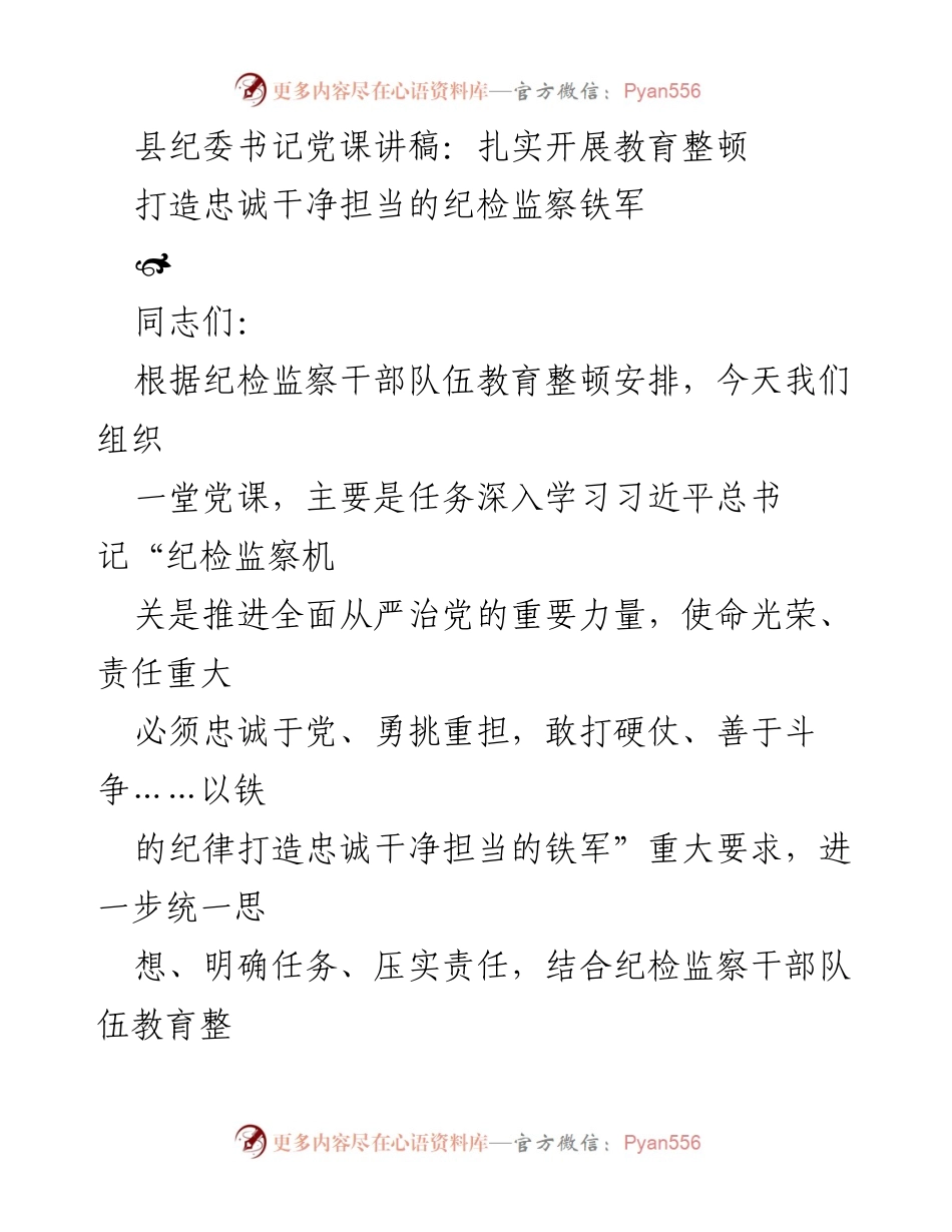 [发言] 党课 - 扎实开展教育整顿，打造忠诚干净担当的纪检监察铁军_4.docx_第1页