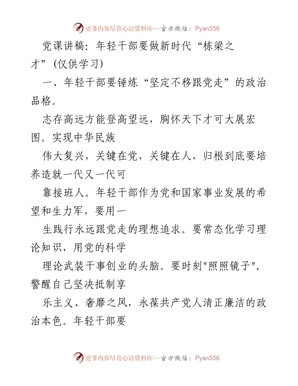 [发言] 党课 - 年轻干部的使命与担当：新时代的栋梁之才.docx_第1页