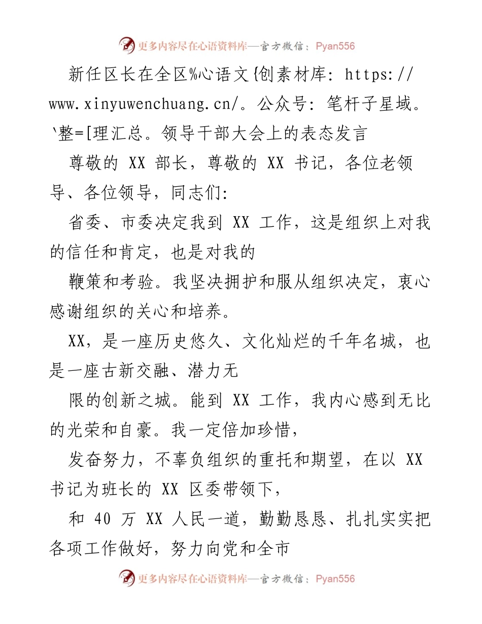 [发言] 全区领导干部大会 - 新任区长表态发言：坚定信念、推动发展、服务民生.docx_第1页