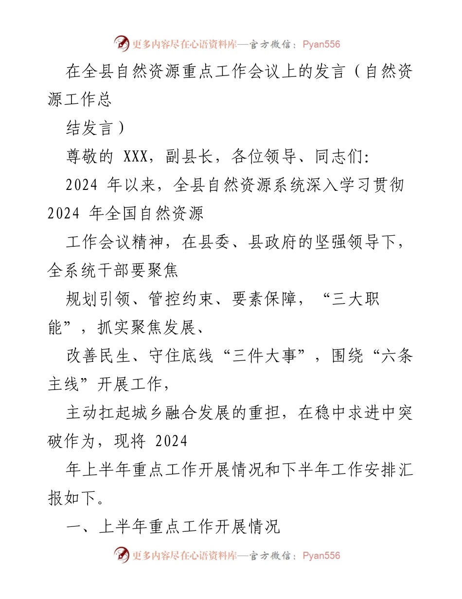 [发言] 全县自然资源重点工作会议 - 2024年上半年自然资源工作总结与下半年计划.docx_第1页