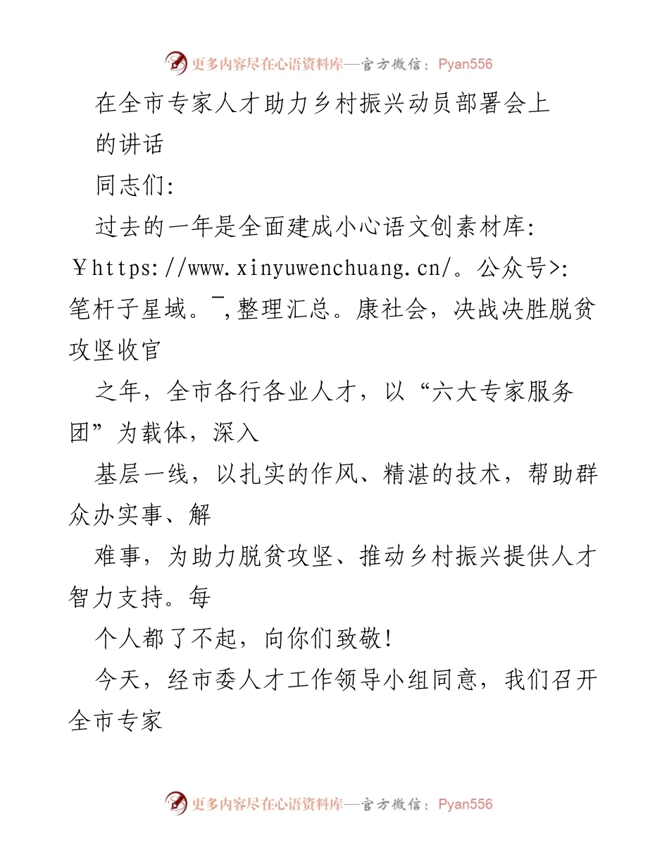 [发言] 全市专家人才助力乡村振兴动员部署会 - 专家助力乡村振兴：总结经验，明确方向.docx_第1页
