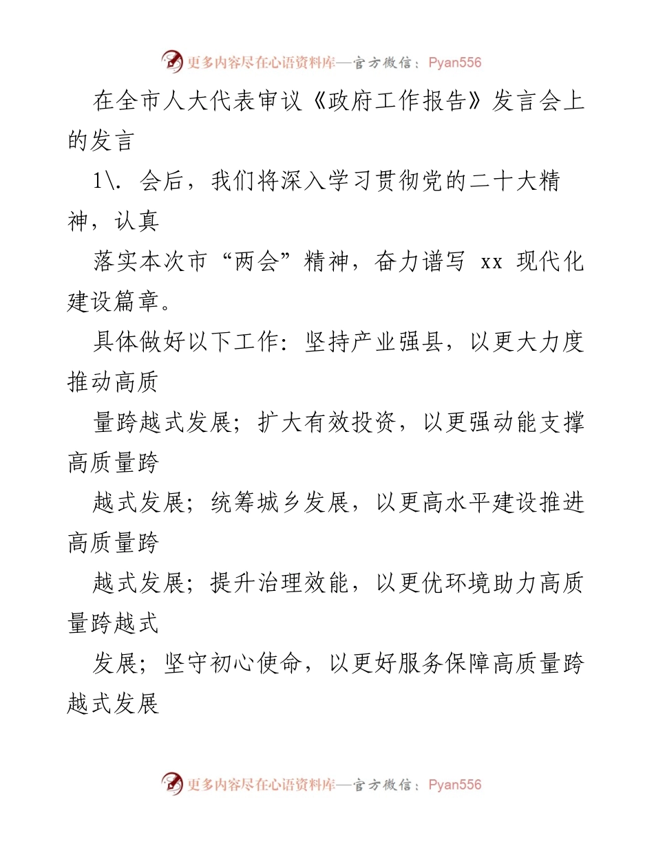 [发言] 全市人大代表审议《政府工作报告》发言会 - 深入贯彻党的二十大精神，推动高质量跨越式发展.docx_第1页
