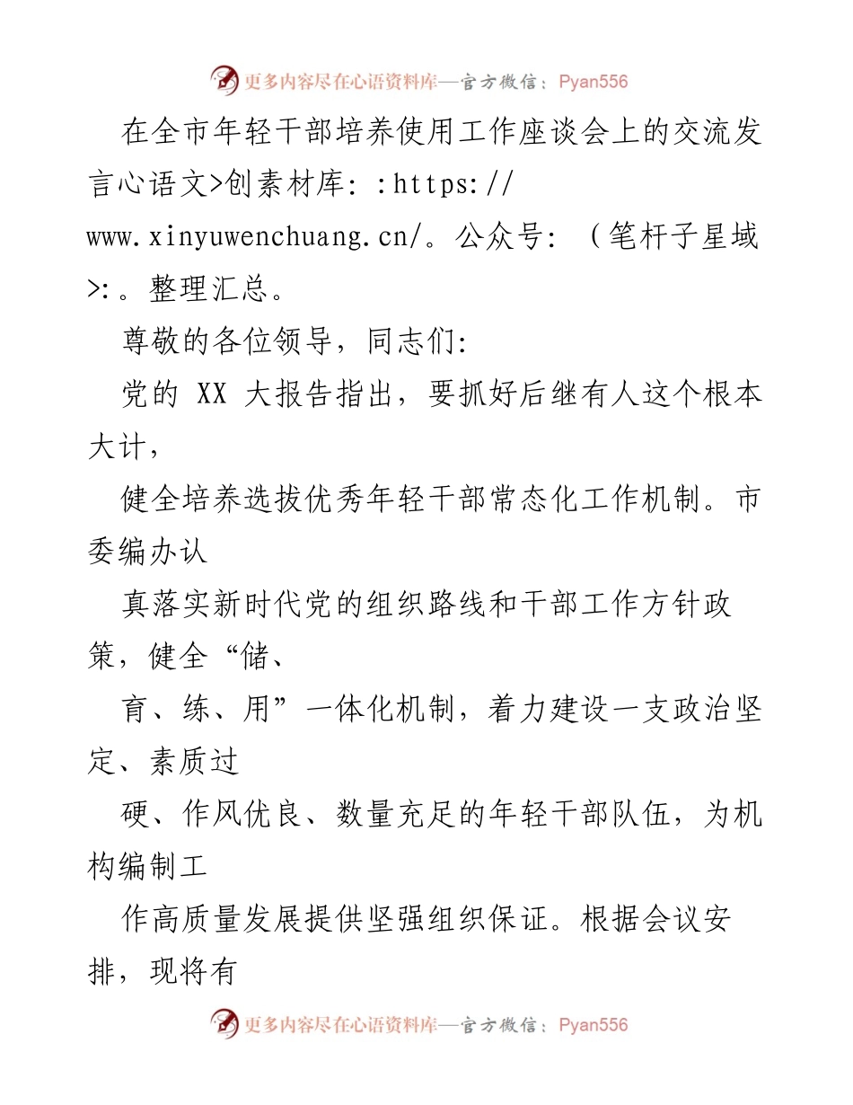 [发言] 全市年轻干部培养使用工作座谈会 - 加强年轻干部培养选拔，推动高质量发展.docx_第1页