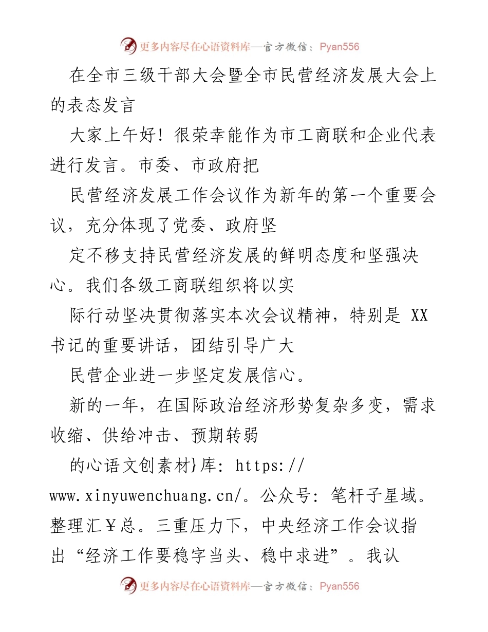 [发言] 全市三级干部大会暨全市民营经济发展大会 - 支持民营经济发展，团结工商界共谋新机遇.docx_第1页
