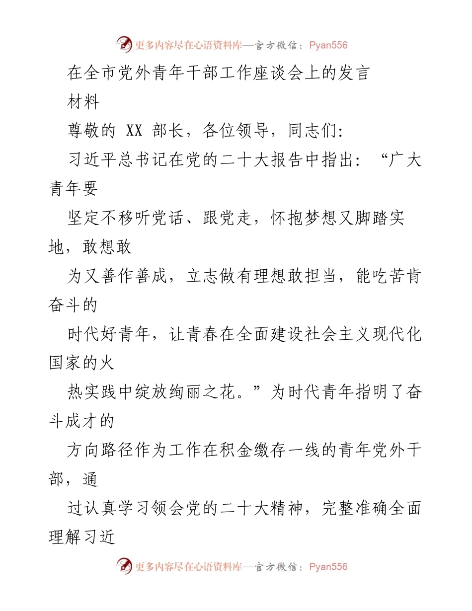 [发言] 全市党外青年干部工作座谈会 - 青年干部的使命与担当：推动现代化建设的责任与奋斗.docx_第1页