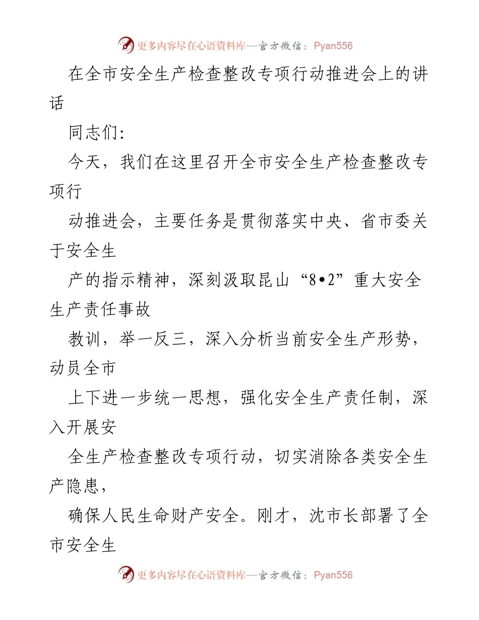[发言] 全市安全生产检查整改专项行动推进会 - 强化安全生产责任，确保人民生命财产安全.docx_第1页