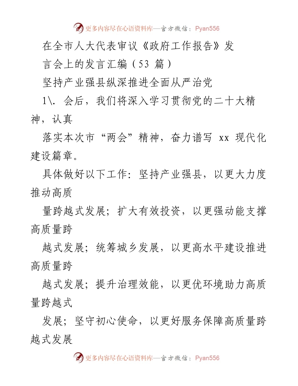 [发言] 全市人大代表审议《政府工作报告》发言会 - 深入贯彻落实《政府工作报告》推动高质量发展和全面从严治党.docx_第1页