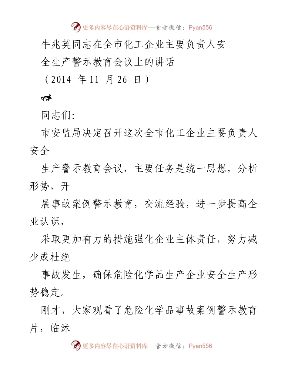 [发言] 全市化工企业主要负责人安全生产警示教育会议 - 加强危险化学品安全生产责任的紧迫性与重要性.docx_第1页