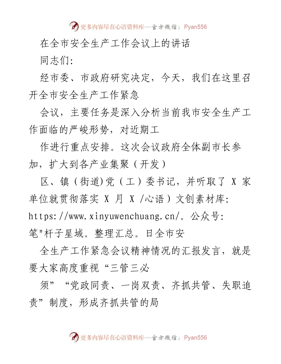 [发言] 全市安全生产工作会议 - 强化安全责任，防范重大事故风险.docx_第1页