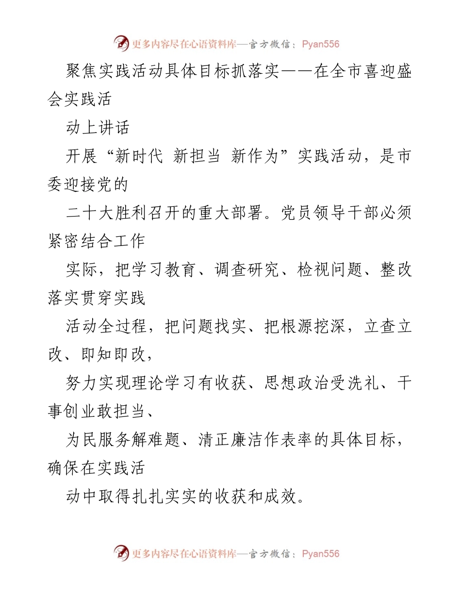 [发言] 全市喜迎盛会实践活动 - 聚焦实践落实，推动新时代担当作为.docx_第1页