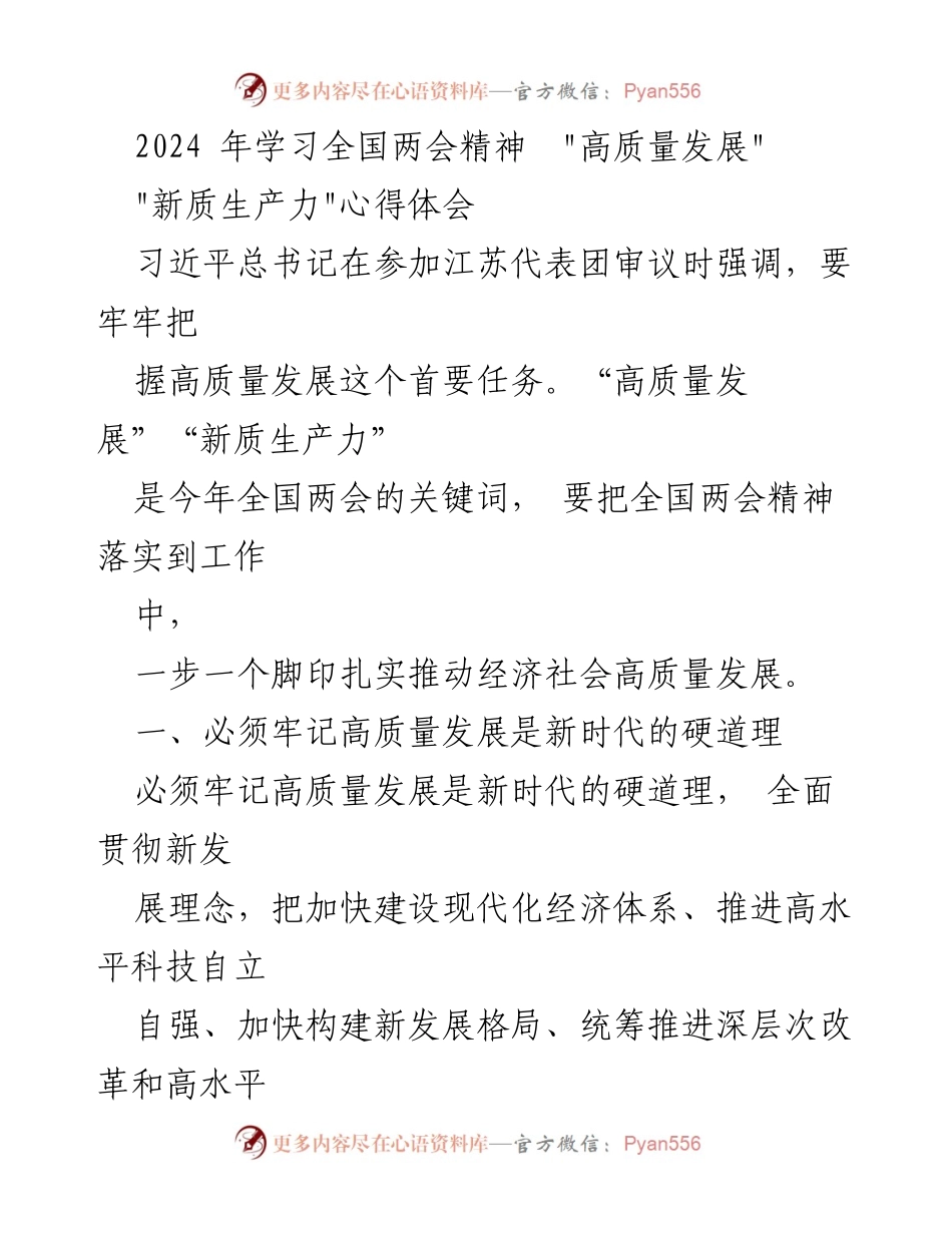 [发言] 全国两会精神学习 - 高质量发展与新质生产力的实施路径.docx_第1页