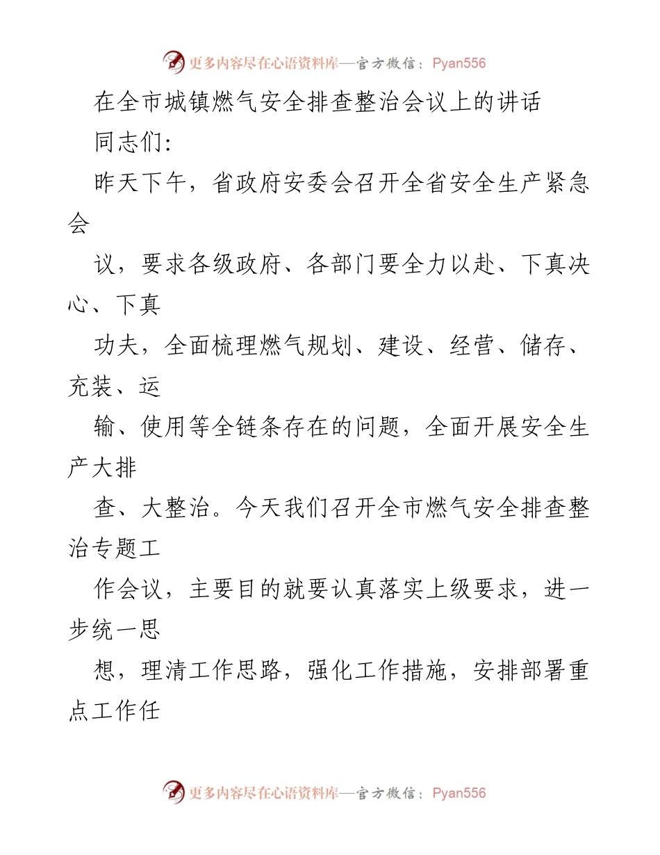 [发言] 全市城镇燃气安全排查整治会议 - 确保燃气安全：落实上级指示，强化排查整治措施.docx_第1页
